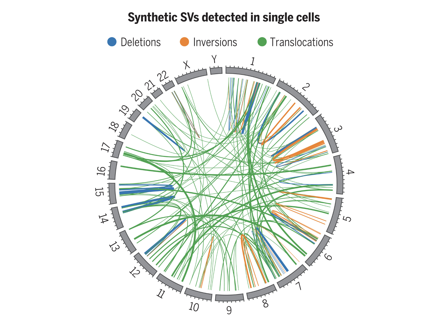 Illustration for multiplex structural variant generation paper